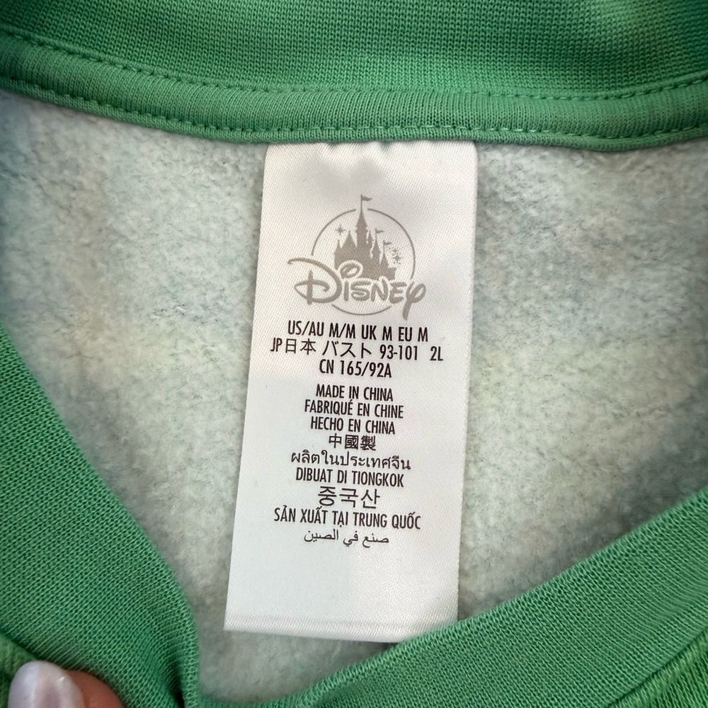 Disney Adults Disneyland Resorts Mickey And Friends Pullover Green Striped Med - Picture 5 of 6